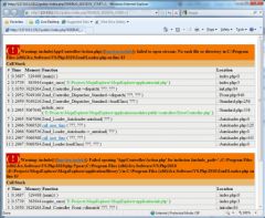 Built-in web server displays an error